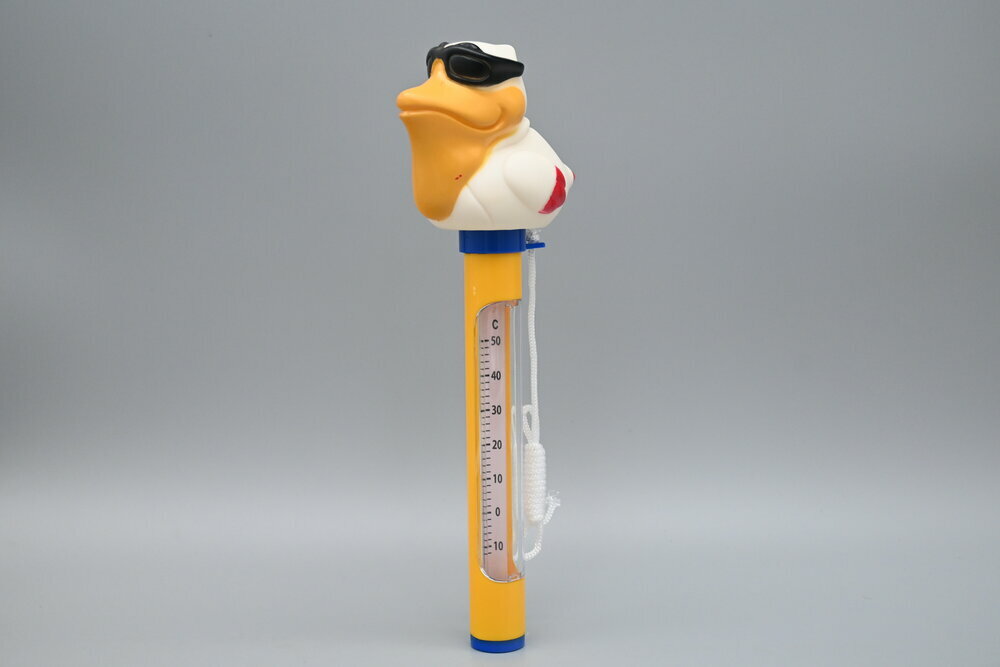 Pool Thermometer