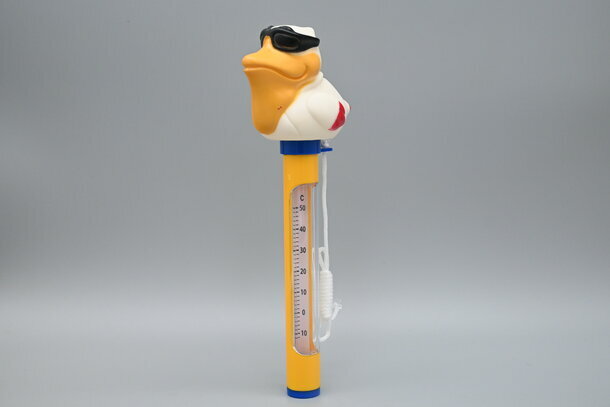 Pool Thermometer